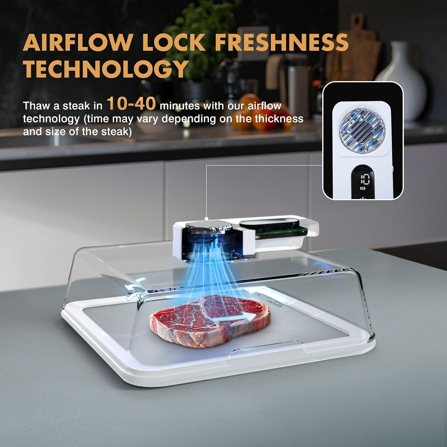 Rapid Defrosting Tray for Frozen Meat – Fast Meat Thawing Tray with Airflow Technology | No Microwave or Water Needed (White)