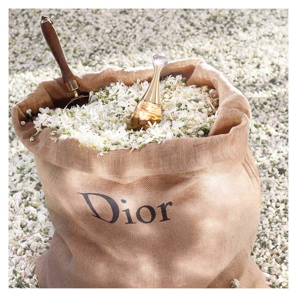 Dior J'adore EDP 100ml – Women's Perfume