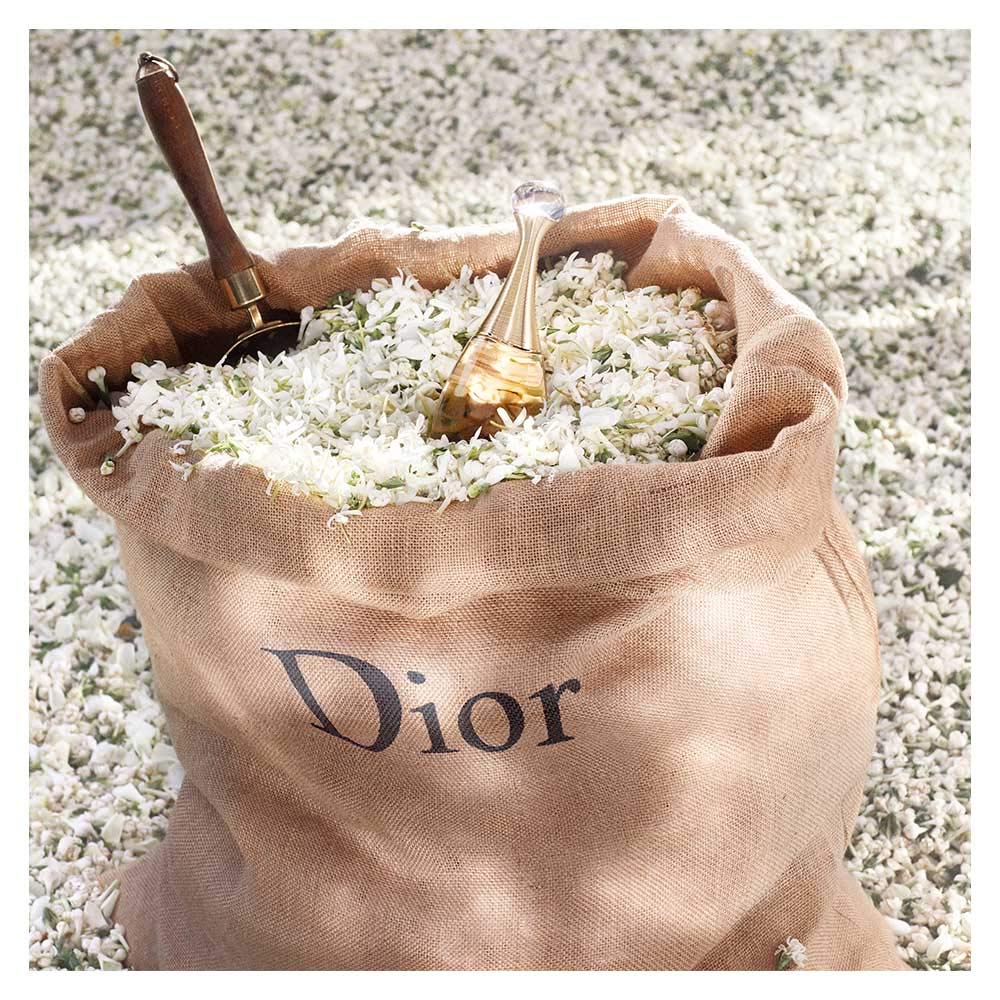 Dior J'adore EDP 100ml – Women's Perfume